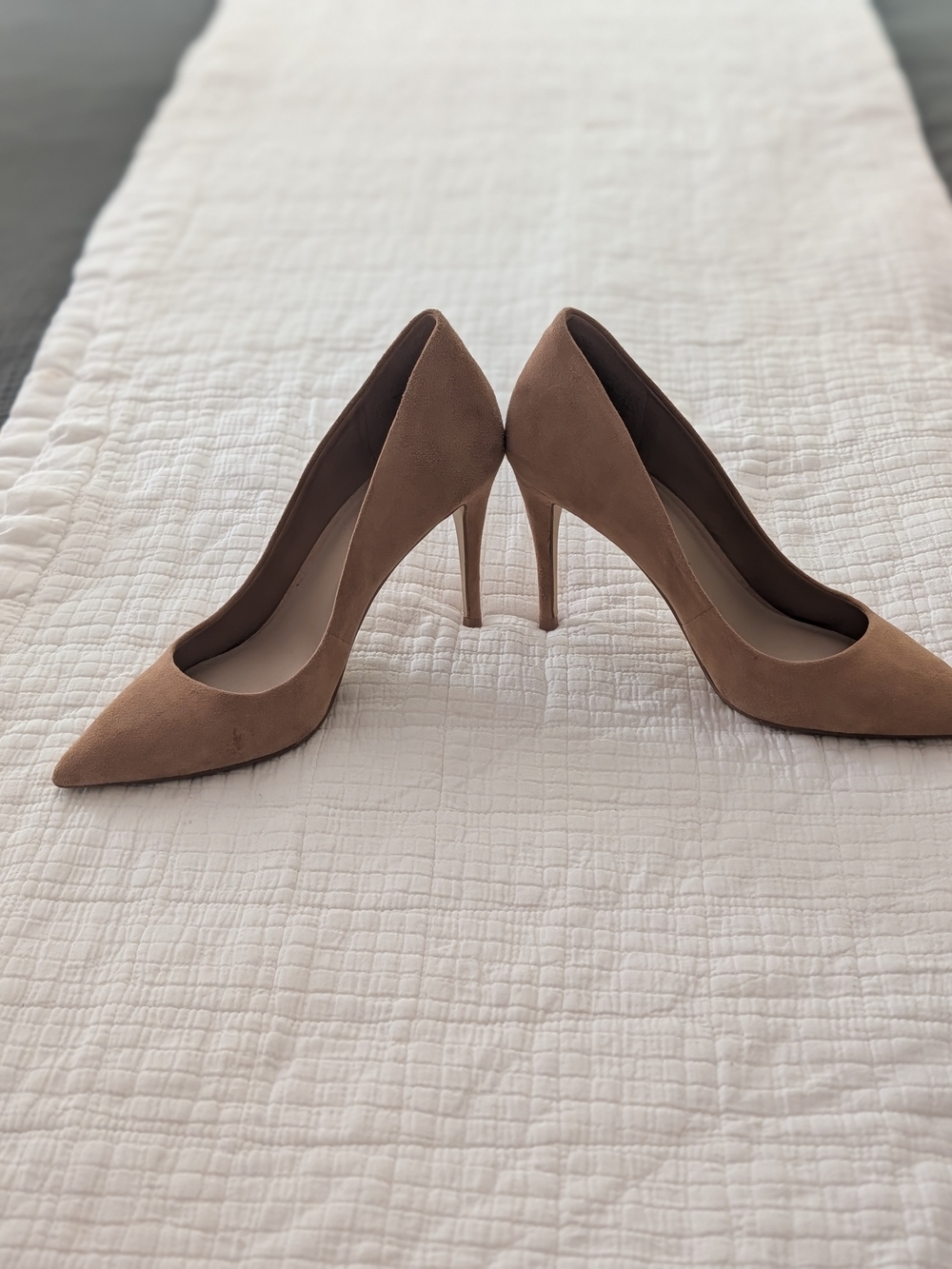 Aldo Taupe Pointed-Toe Stiletto Pumps